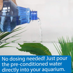 API Betta Water vertiéndose en un cuenco con betta, facilita incorporación inmediata