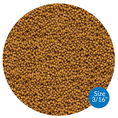 API close-up de pellets mostrando textura que mejora absorción