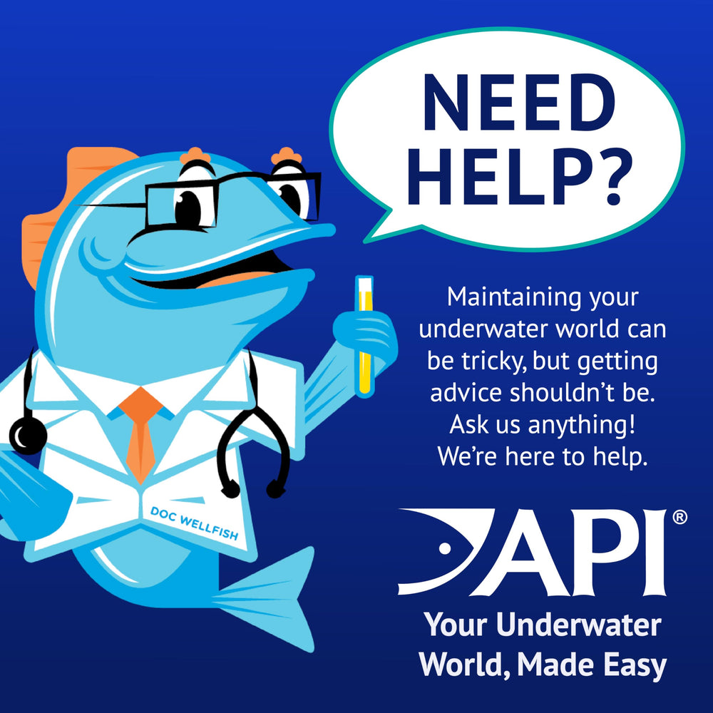 API POND ALGAEFIX en jardín acuático enfatizando estética y seguridad