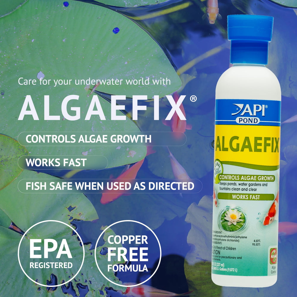 API POND ALGAEFIX etiqueta principal con instrucciones claras y beneficios