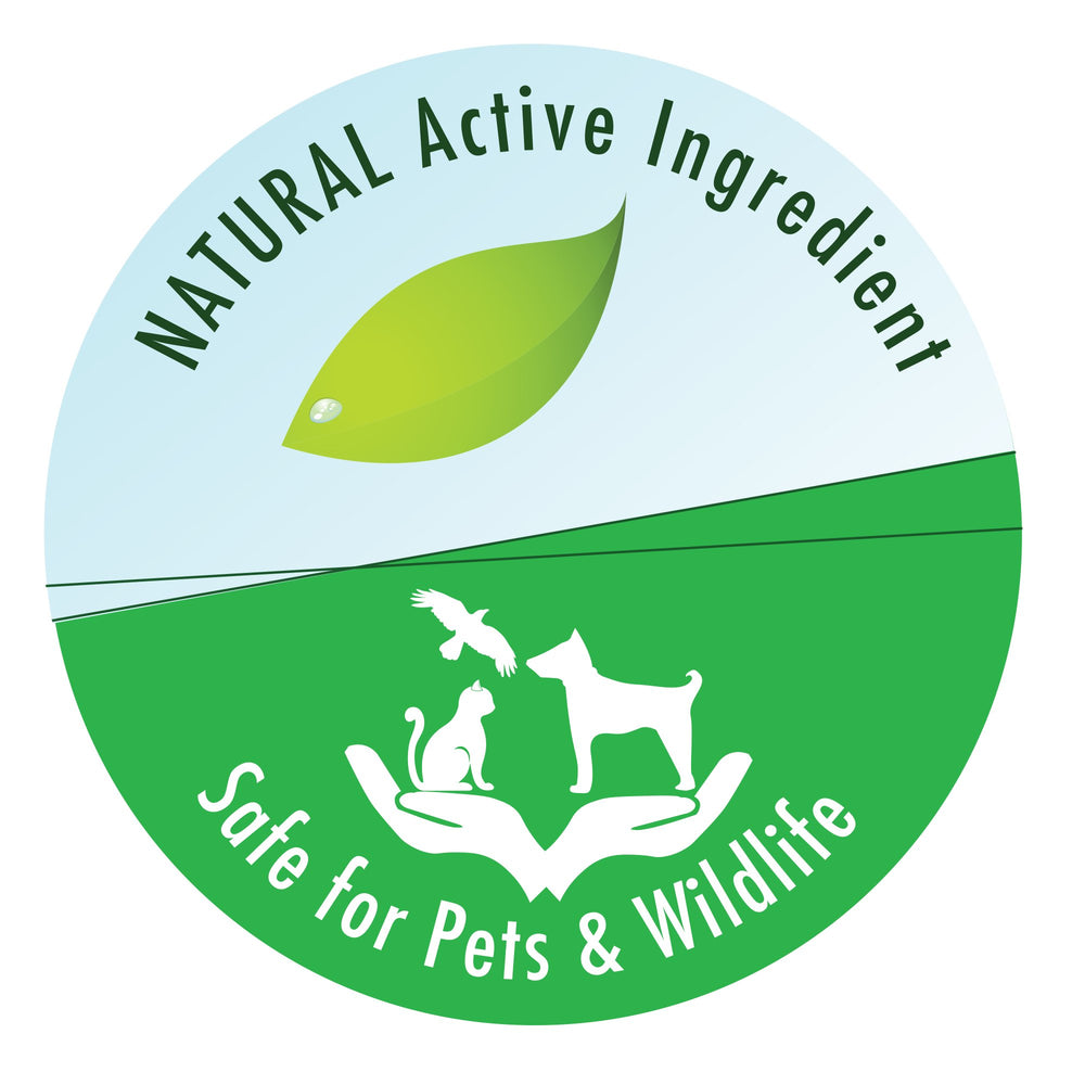 API pond‑zyme label closeup highlighting usage instructions and safe bacterial formula