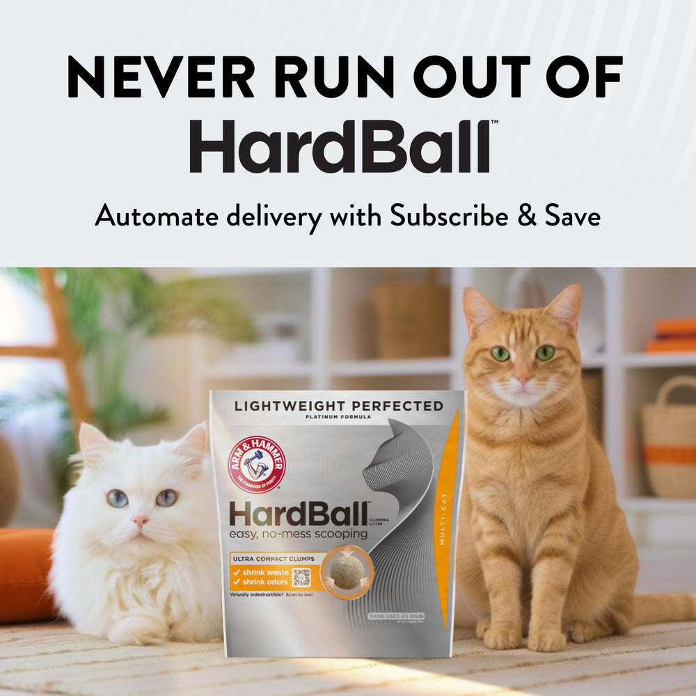 Arm & Hammer arenero en sala para hogares con varios gatos limpio