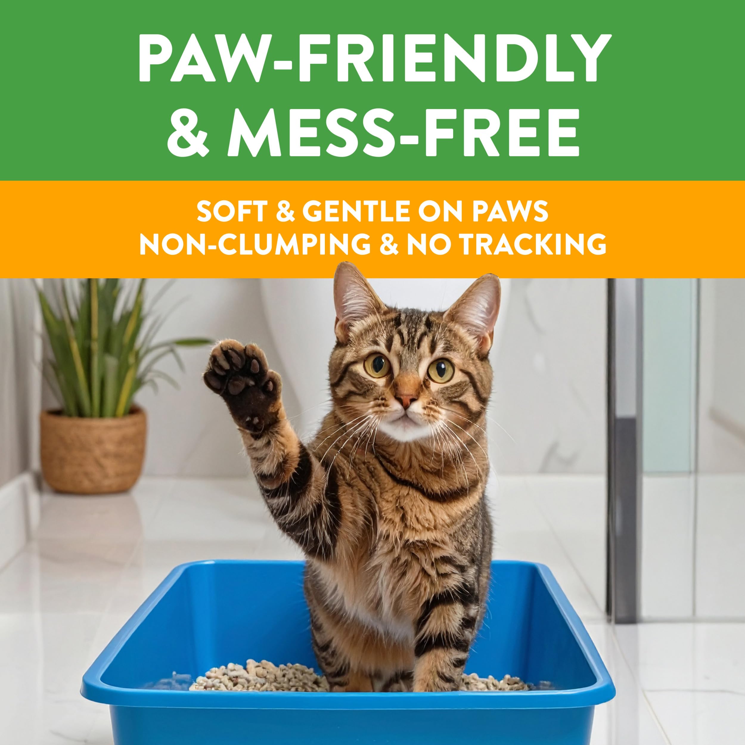 Arm & Hammer Feline Pine comparación de tamaño de la bolsa 17 lb para escala