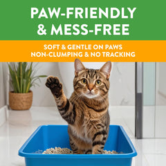 Arm & Hammer Feline Pine comparación de tamaño de la bolsa 17 lb para escala