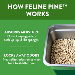 Arm & Hammer Feline Pine en caja de arena con gato usando y olor controlado