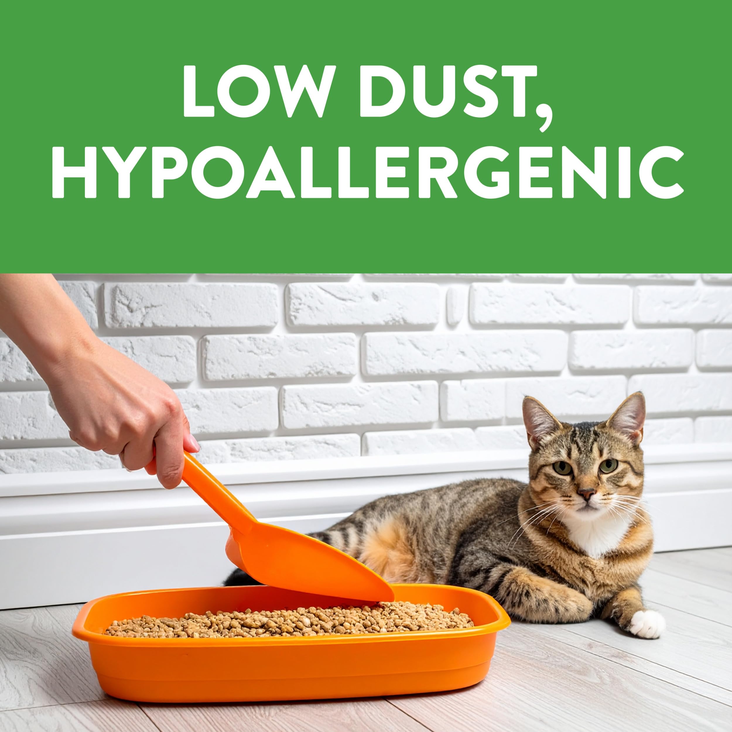 Arm & Hammer Feline Pine etiqueta que muestra ingredientes vegetales y bicarbonato