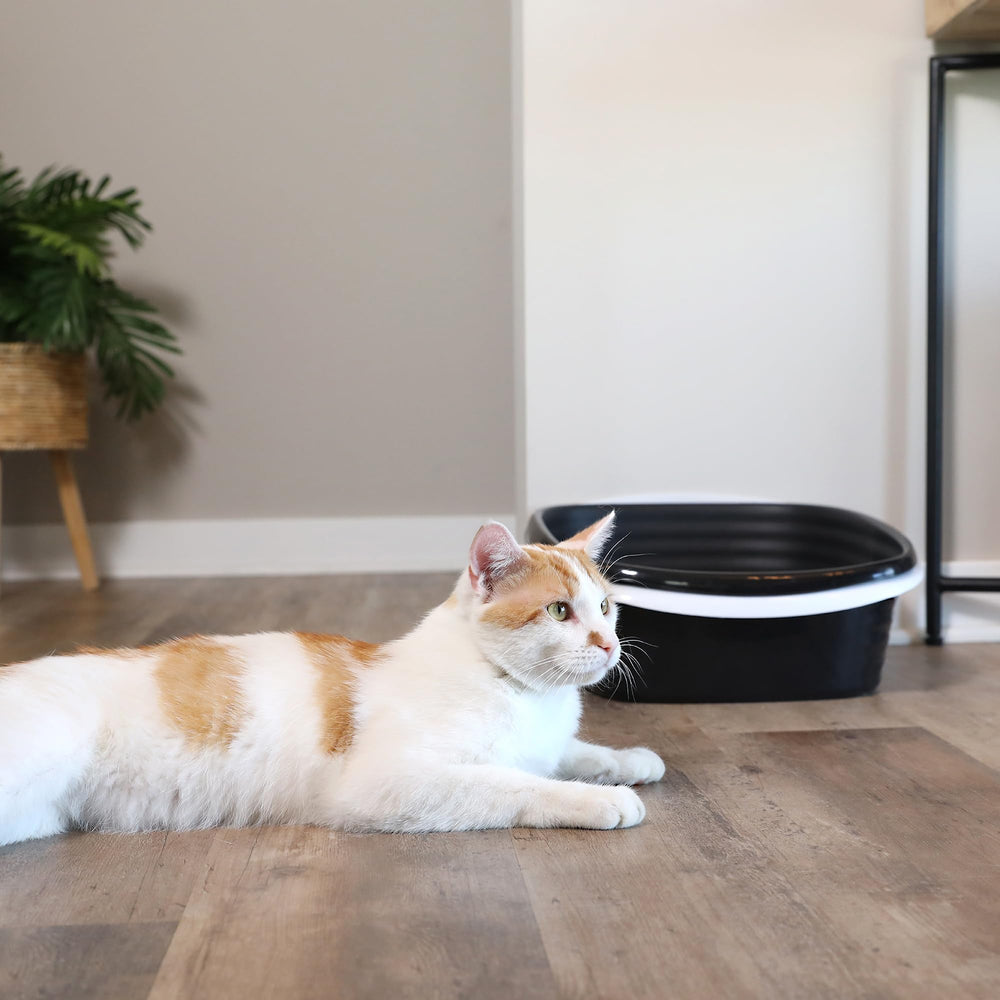 Arm & Hammer litter box placed in bathroom showing tidy lifestyle and discreet benefit