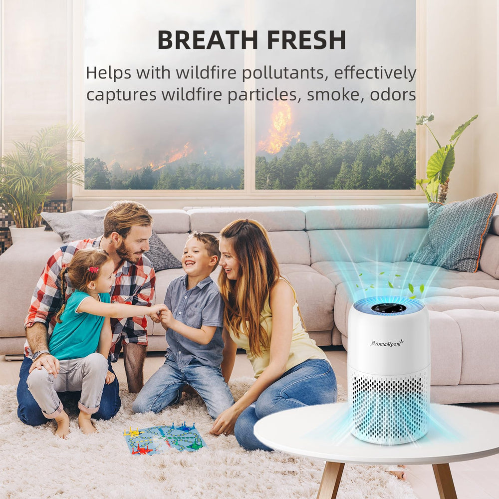 Aroma Room interior del motor brushless que ofrece bajo ruido y durabilidad