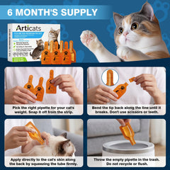 Articats gato jugando tras aplicación, demuestra resistencia al agua