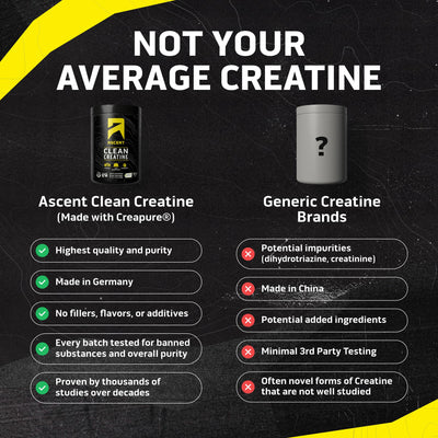 Ascent Creapure cucharada medidora con polvo, dosificación precisa y cómoda