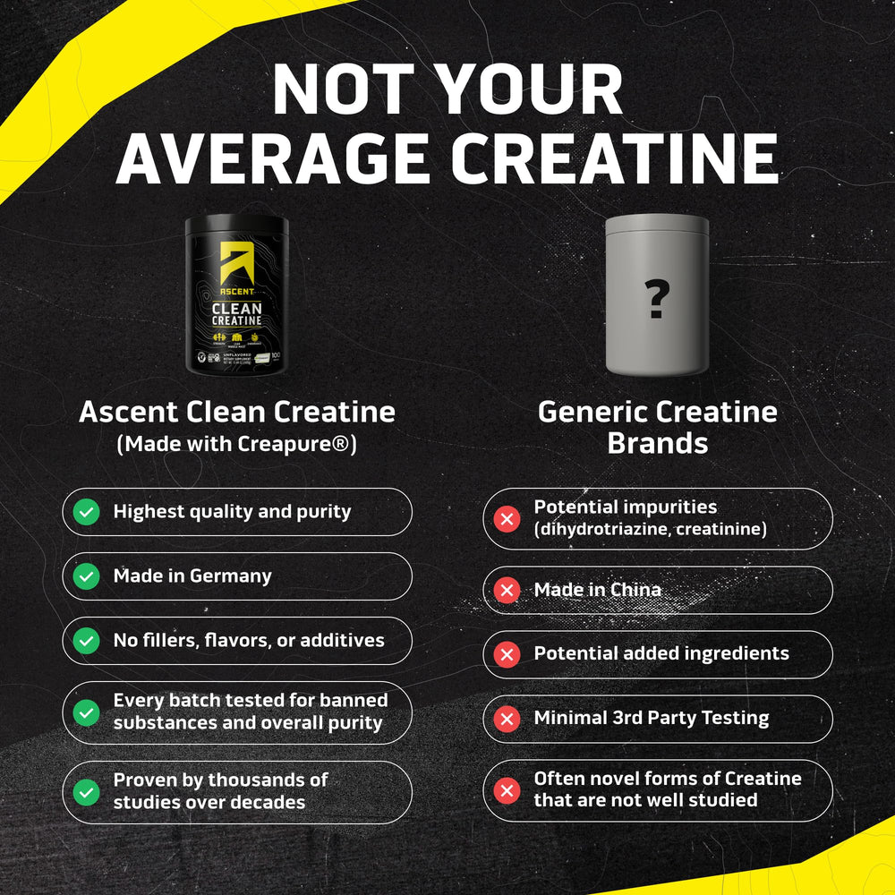 Ascent Creapure cucharada medidora con polvo, dosificación precisa y cómoda