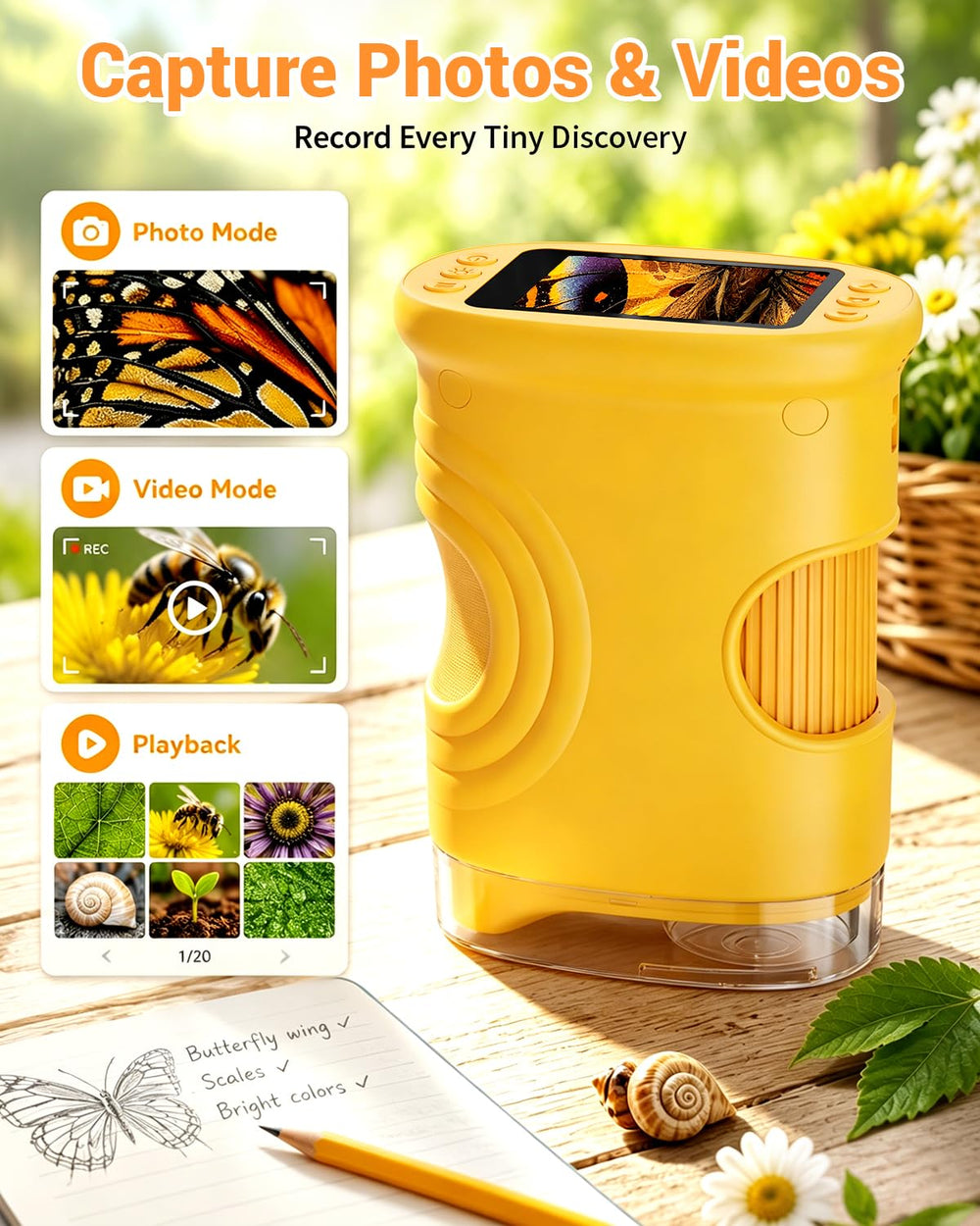 Ashfly screen displaying captured insect photo for project use
