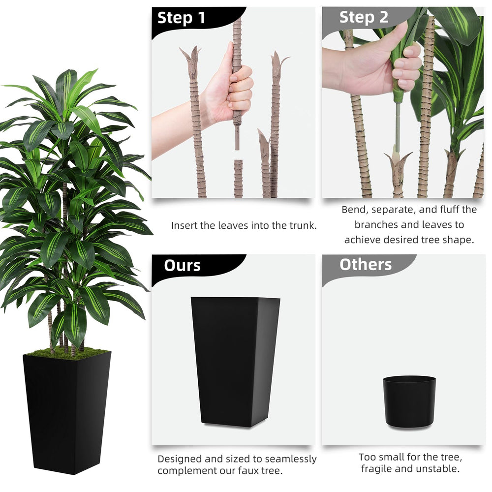 ASTIDY dracaena in a living room setting demonstrating decor enhancement and scale