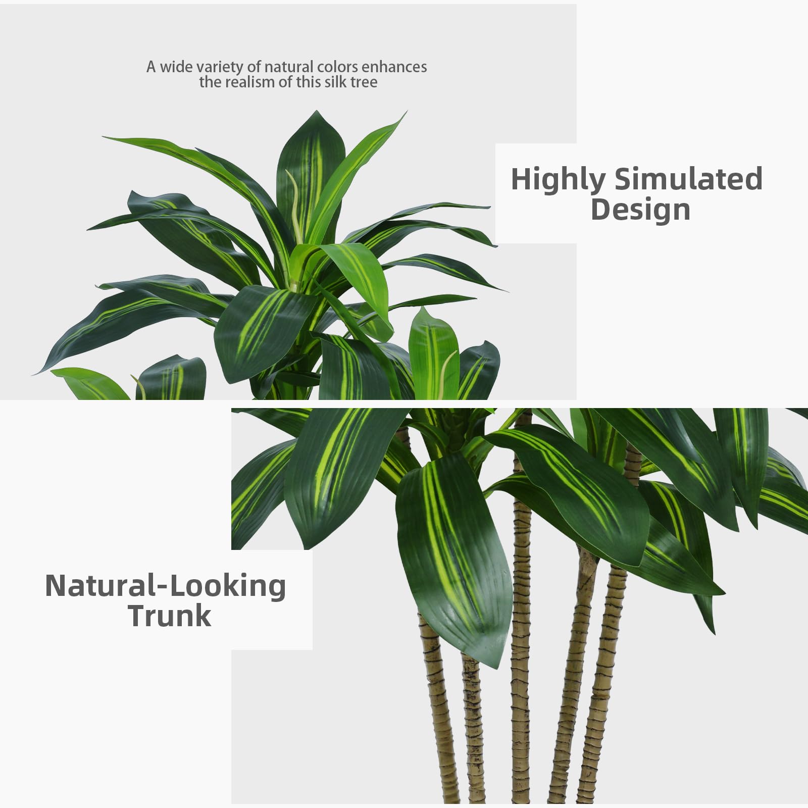 ASTIDY dracaena packaging and components arranged to show included planter and moss