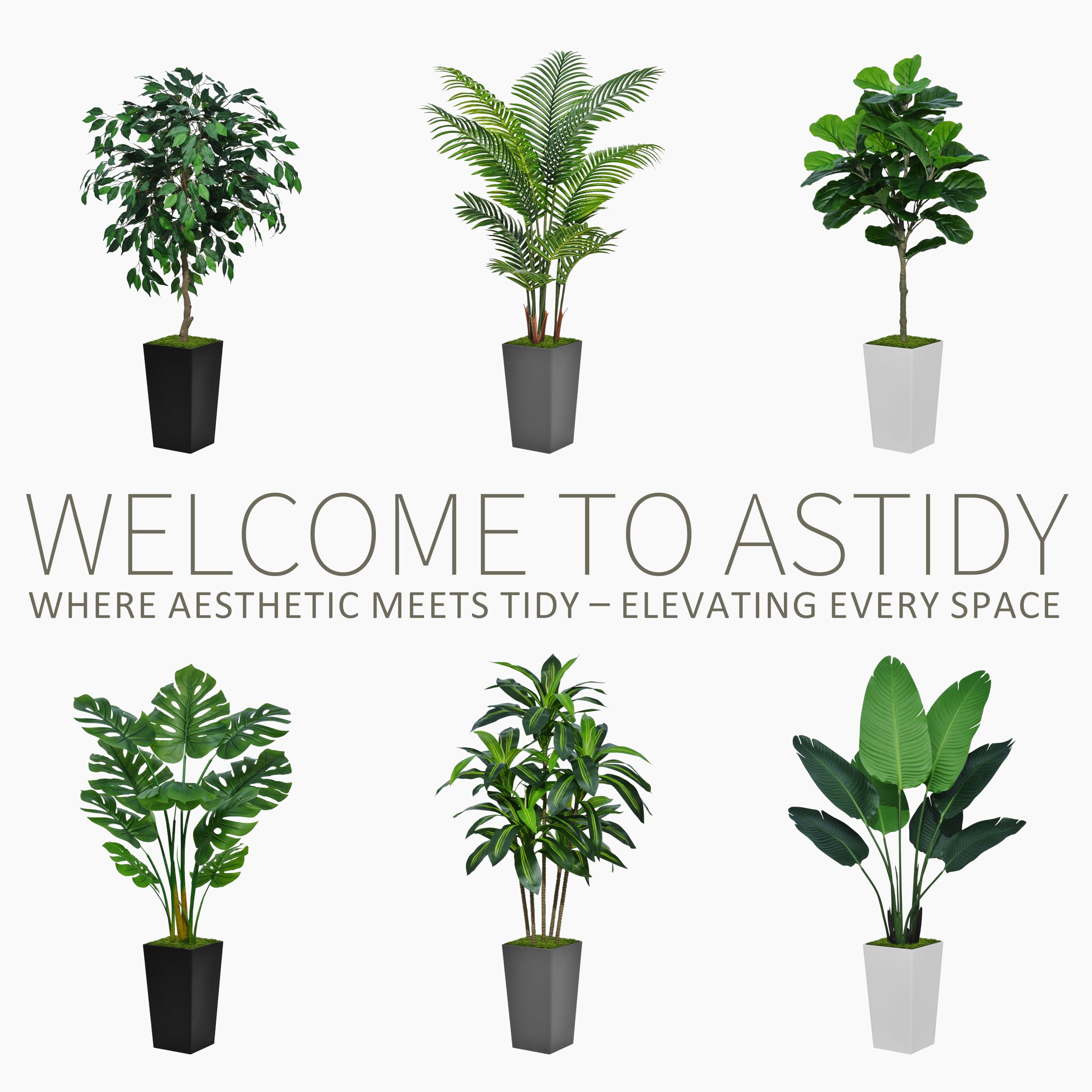 ASTIDY dracaena planter top view with moss providing polished, ready-to-display finish