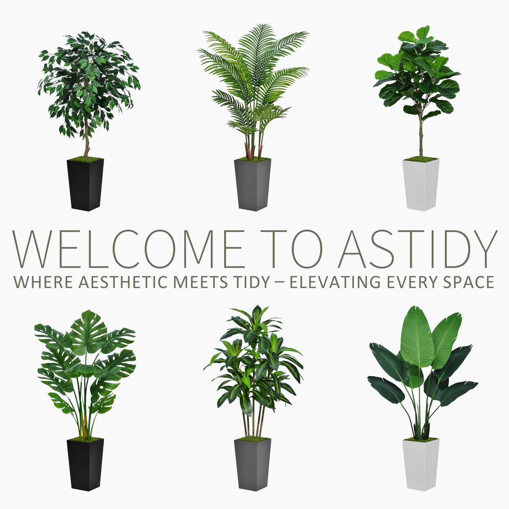 ASTIDY dracaena planter top view with moss providing polished, ready-to-display finish