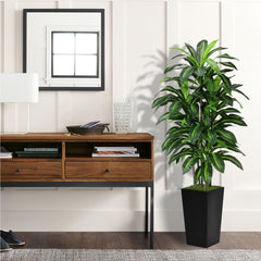 ASTIDY dracaena trunk detail highlighting wire-reinforced stem for adjustable shaping