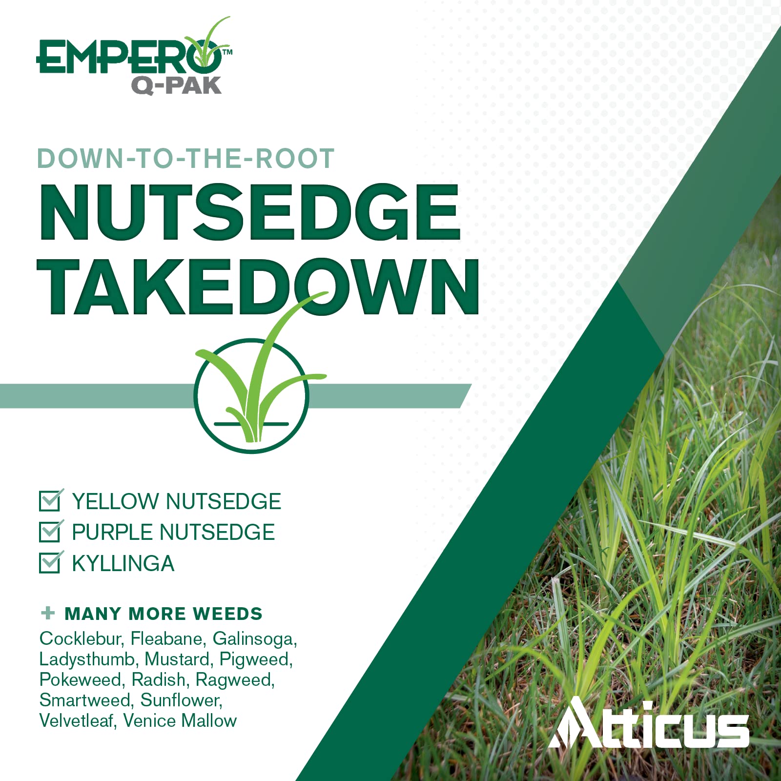 Atticus Empero pack added to sprayer showing simple one-gallon mixing