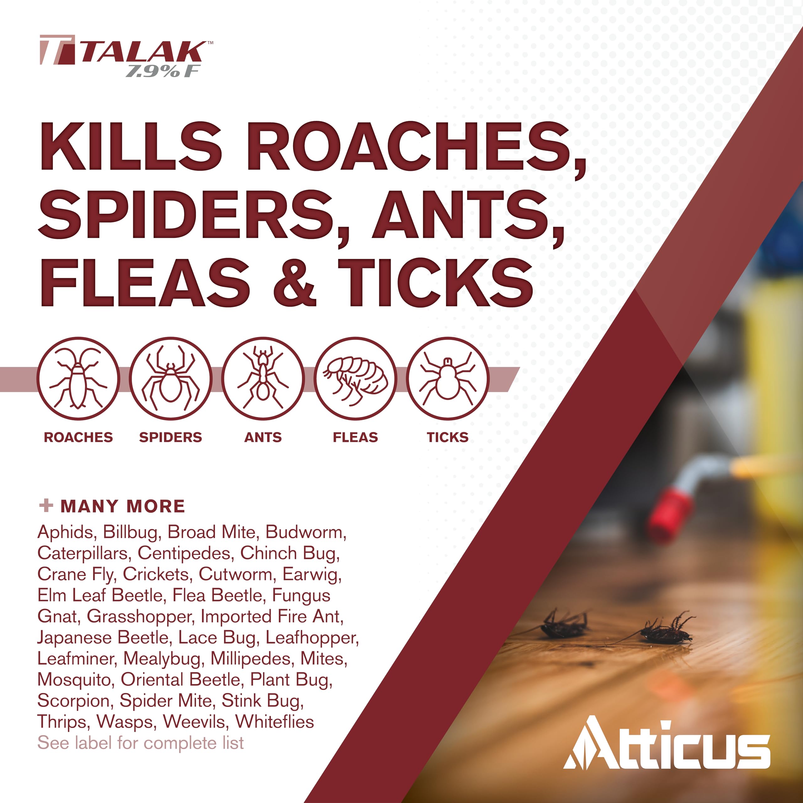Atticus Talak closeup of easy‑pour spout for precise measuring and less mess