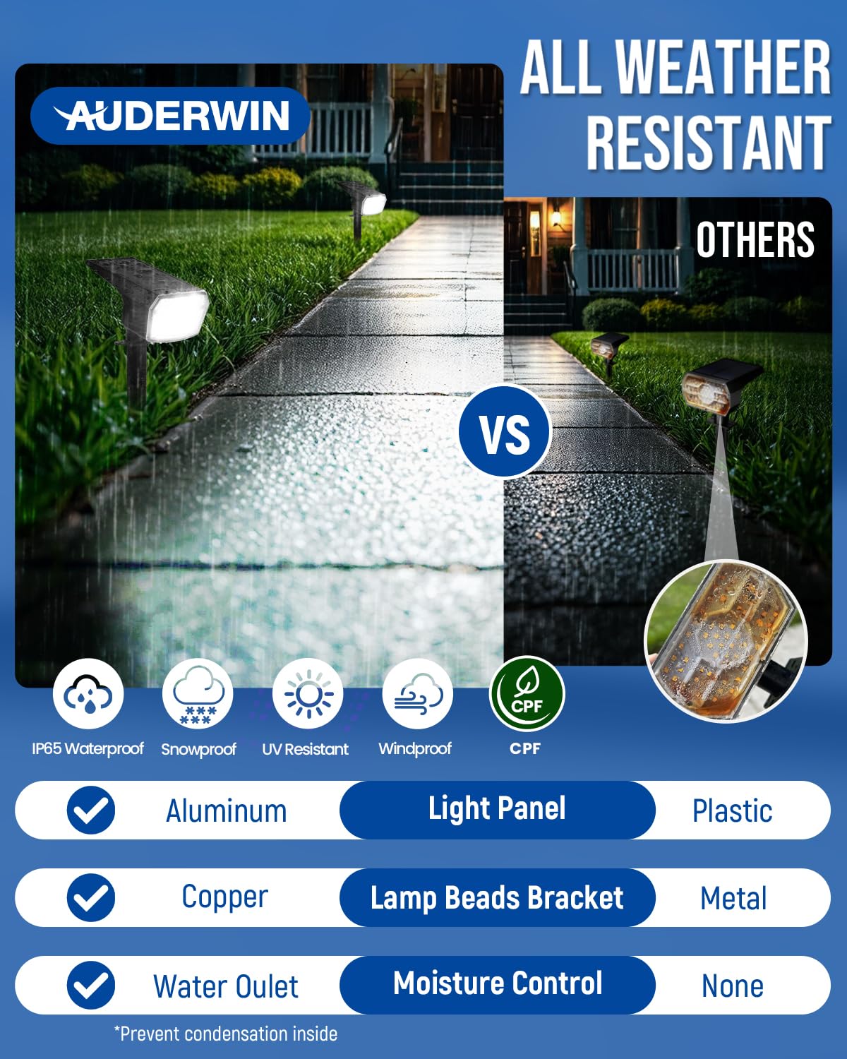AUDERWIN foco enterrado iluminando sendero y realzando paisajismo