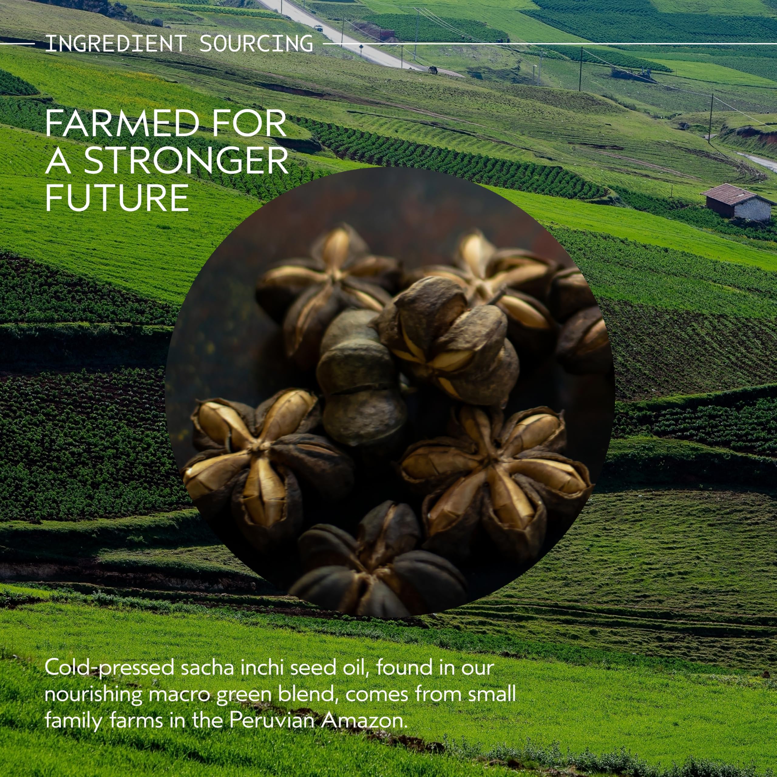 Aveda ambientación con ylang-ylang y rosa representando la fragancia Pure-Fume