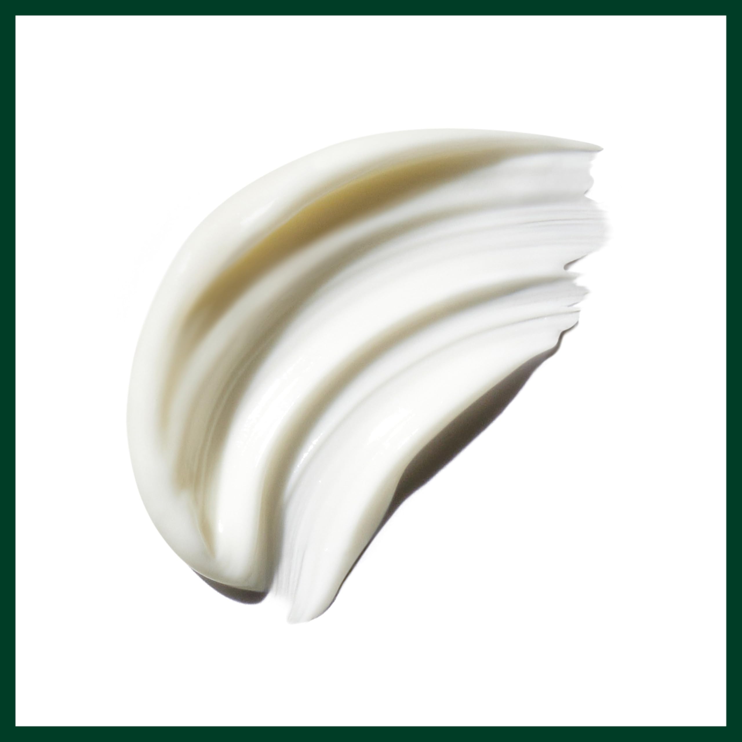 Aveda Be Curly y semillas de kokum resaltando nutrición profunda