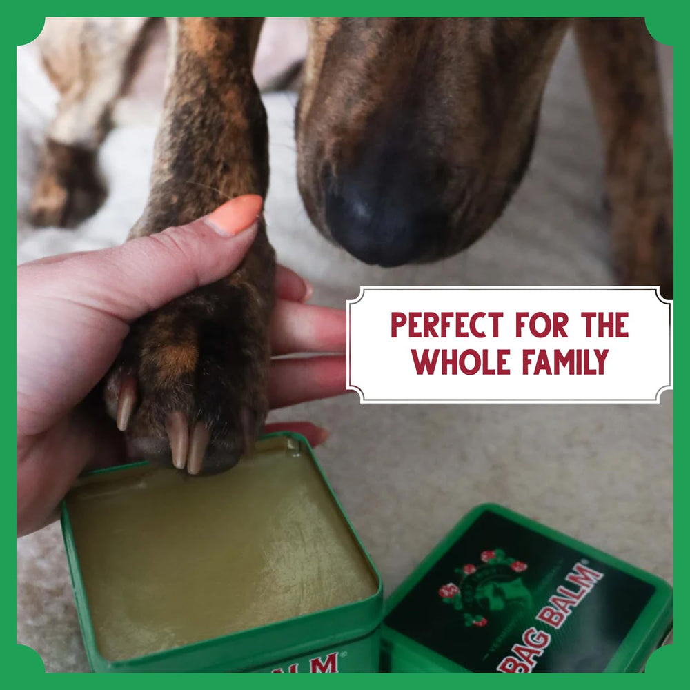 Bag Balm en escena exterior con mascota protegido contra clima