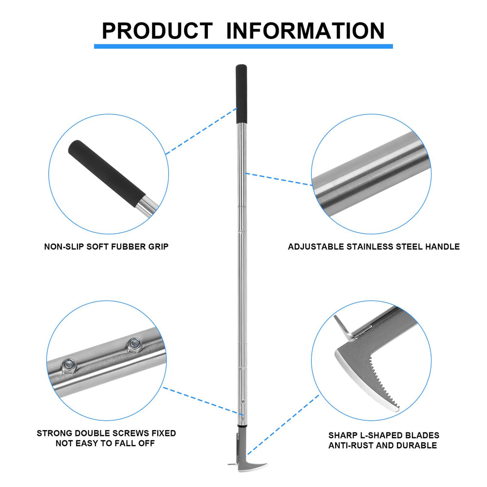 BARAYSTUS next to ruler showing 55-inch length for clear scale