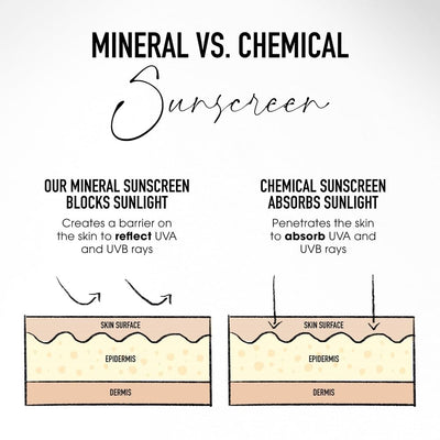 bareMinerals uso con brocha Smoothing Face Brush para cobertura construible