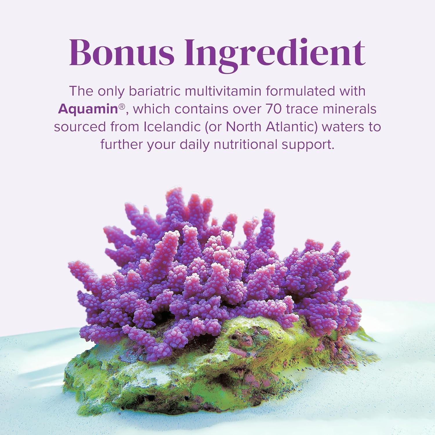 BariMelts Aquamin seaweed ingredient image highlighting natural trace minerals