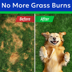 BARK&SPARK textura masticable en primer plano que destaca suavidad y apetito