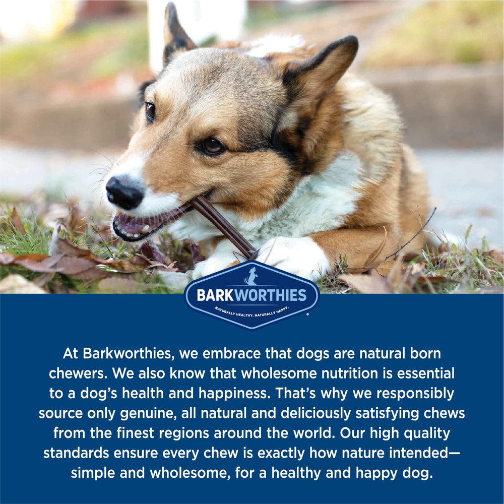 Paquete de cinco Barkworthies bully sticks alineados, beneficio presentación práctica