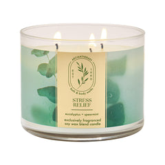 Bath & Body Works front view showing jar and eucalyptus spearmint scent benefits