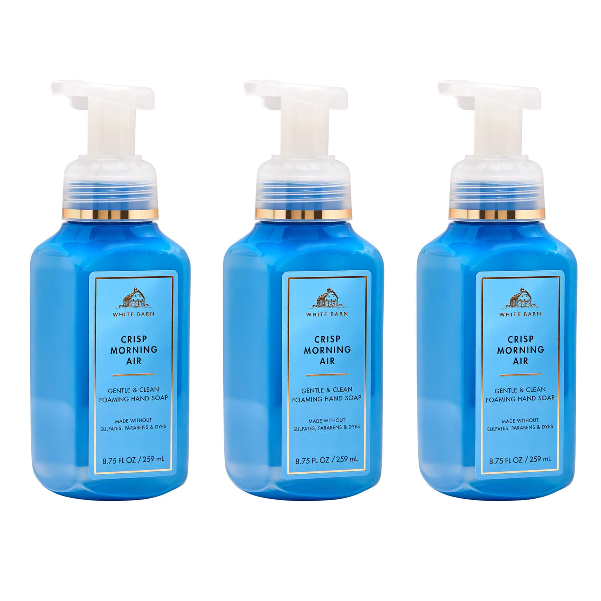 Bath & Body Works frente del envase Crisp Morning Air mostrando diseño y marca