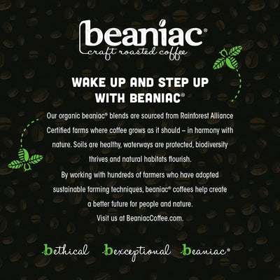 beaniac ground coffee pour detail into a spoon, highlights fresh Arabica aroma