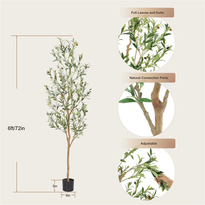bellacat árbol colocado en sala mostrando cómo mejora la decoración