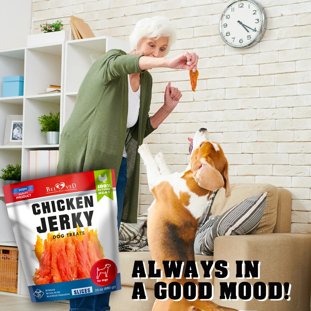 Beloved Pets dog happily chewing jerky as a training reward