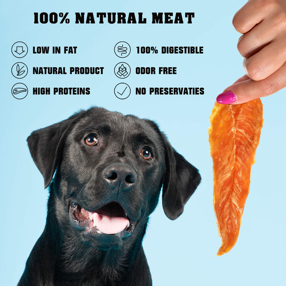 Beloved Pets bite-sized pieces displayed for training convenience