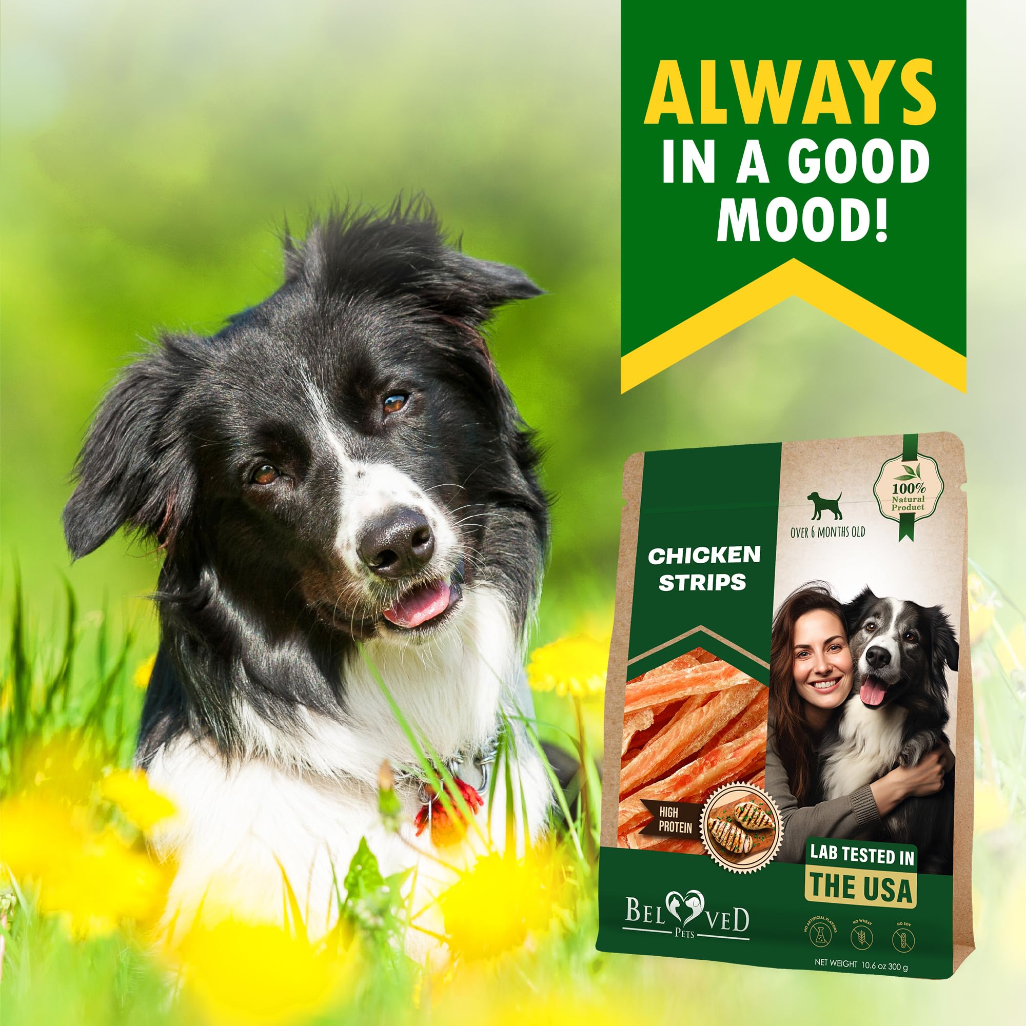Beloved Pets perro feliz en hogar, promueve salud y bienestar