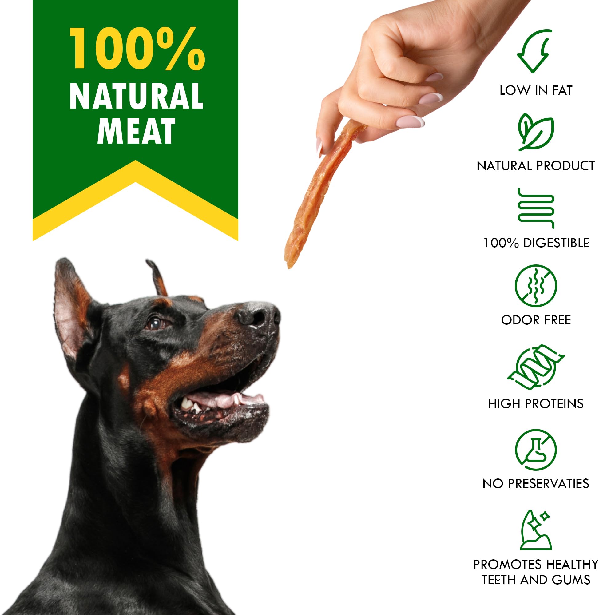 Beloved Pets tira en mano para escalas, muestra tamaño real