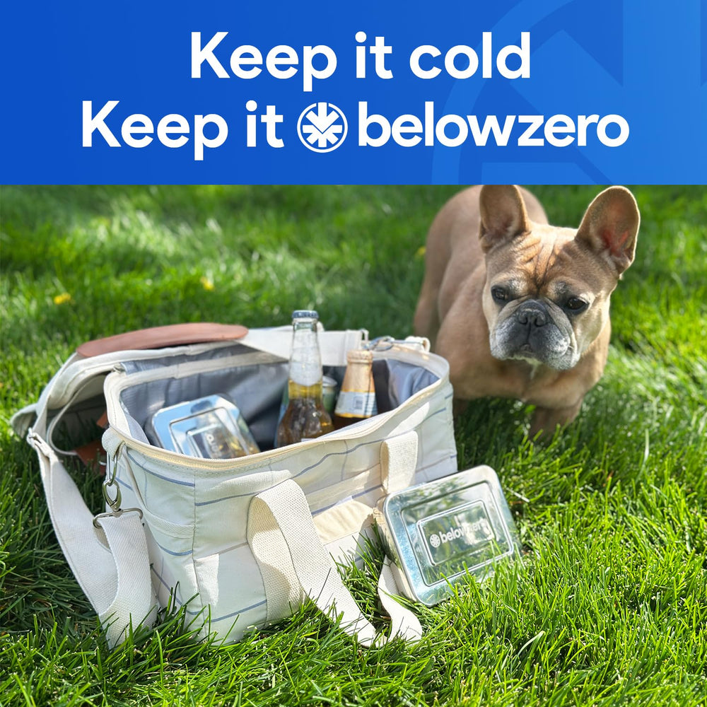 Below Zero dentro de un cooler conservando hielos y bebidas secos por más tiempo