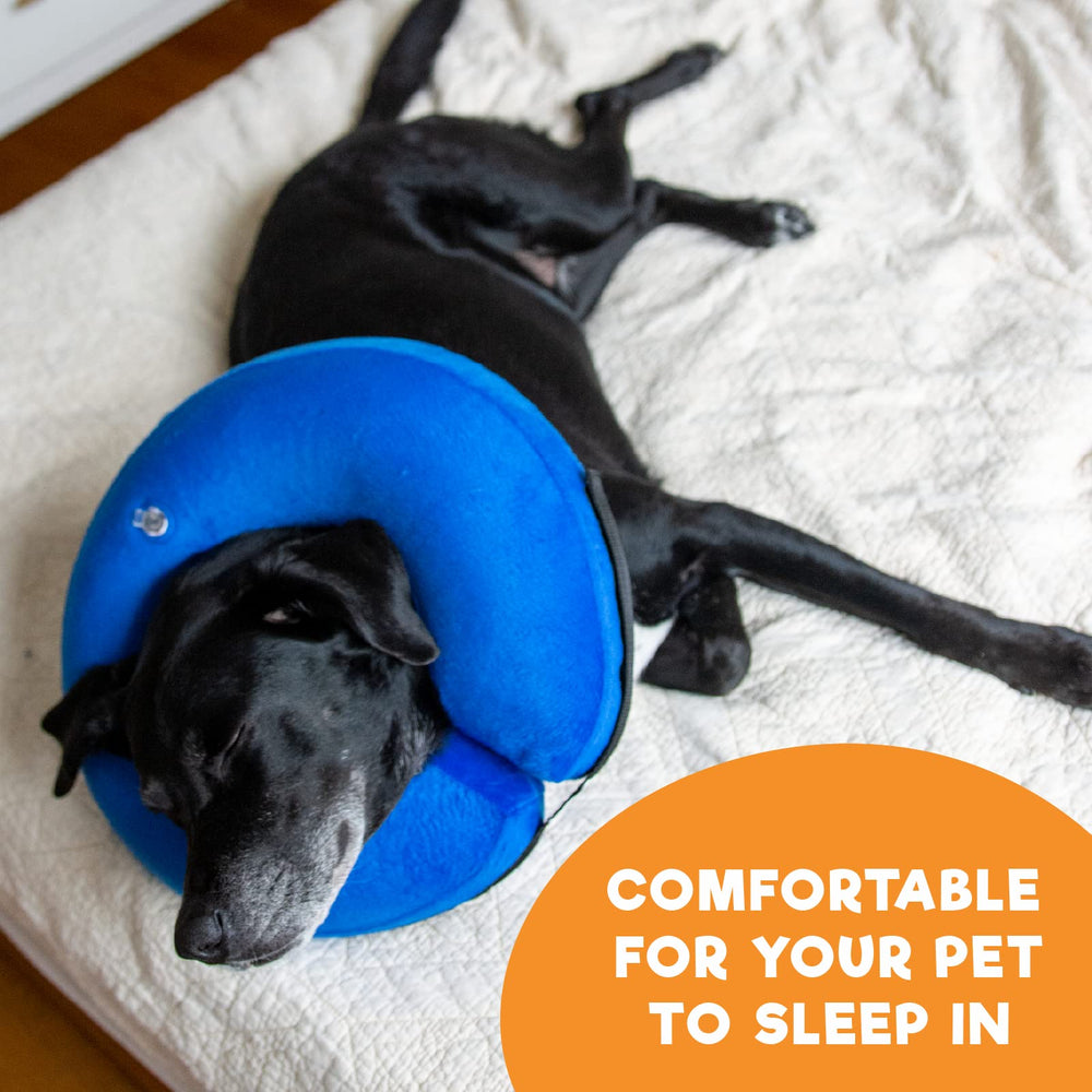 BENCMATE dog wearing collar relaxing on sofa, reduces stress and aids peaceful recovery
