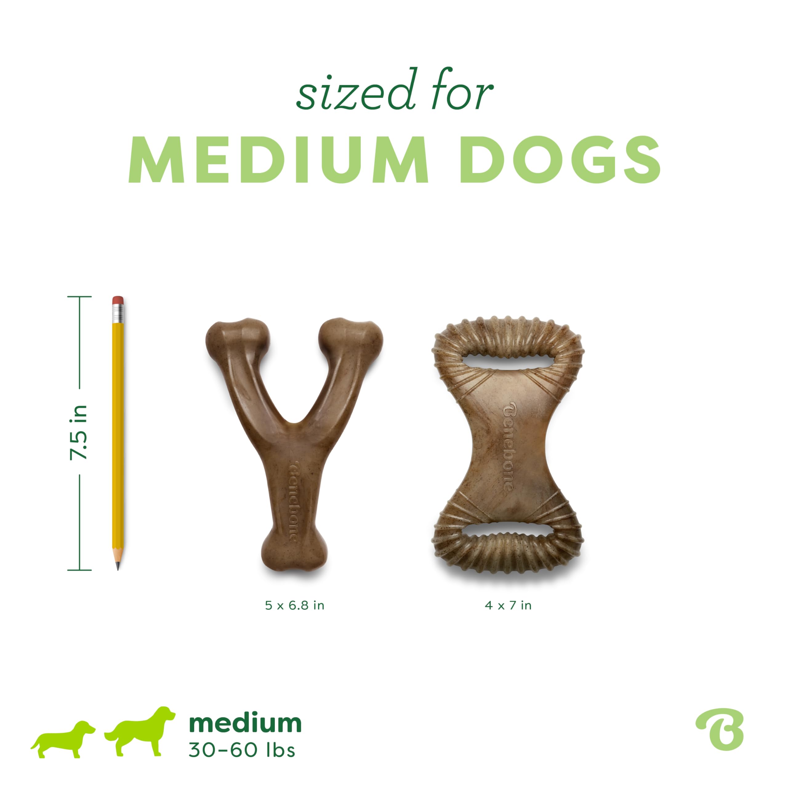Comparación de tamaño Benebone Medium junto a una pata para escala clara