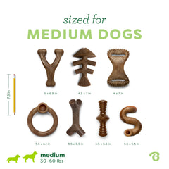 Benebone size comparison next to adult hand showing appropriate scale benefit