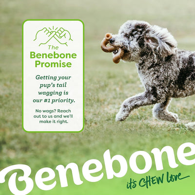 Benebone inside a travel crate showing calming distraction and portability benefit