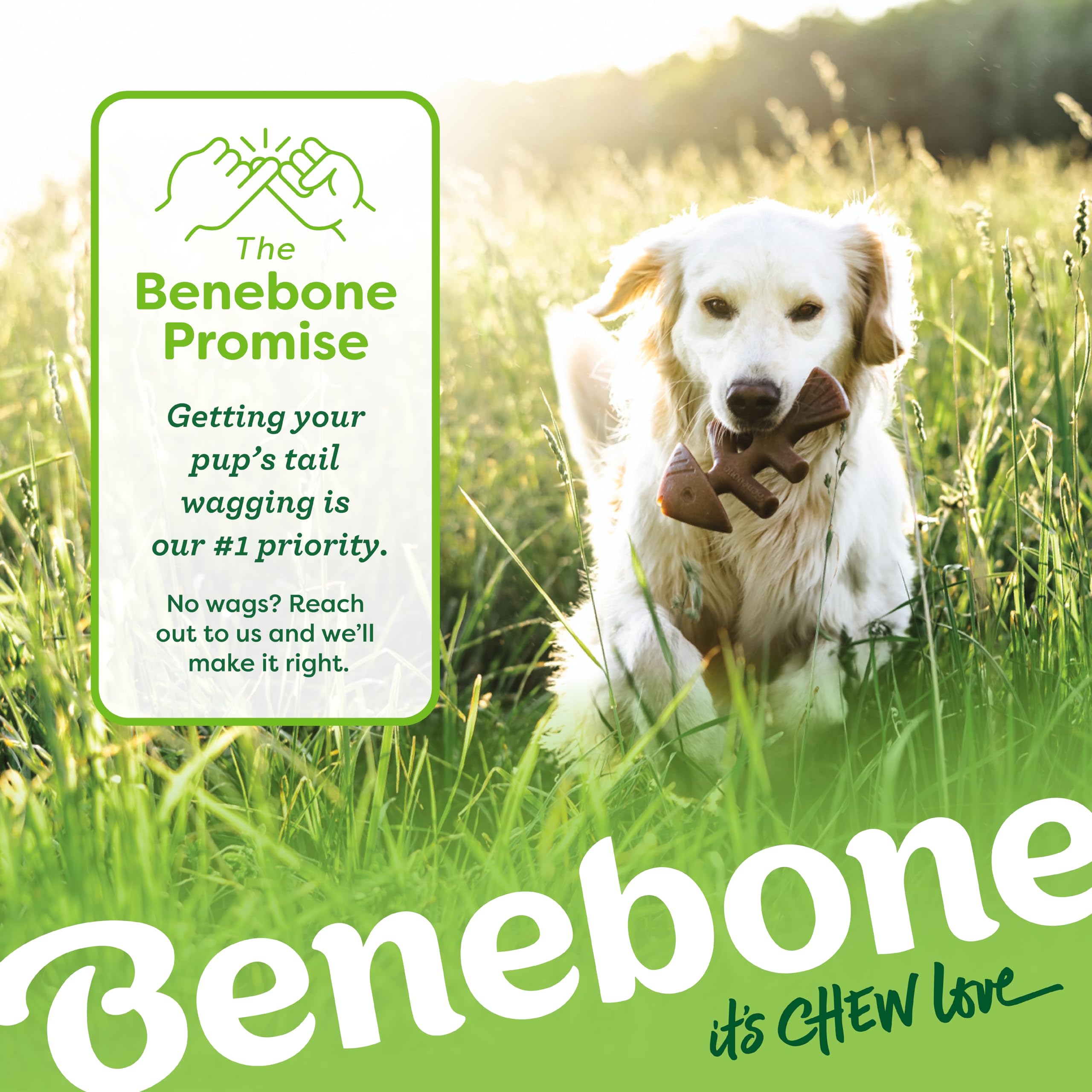 Benebone uso en auto y crate reduce ansiedad durante viajes