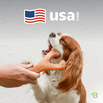Etiqueta del Benebone Wishbone mostrando 'Made in USA' y trazabilidad