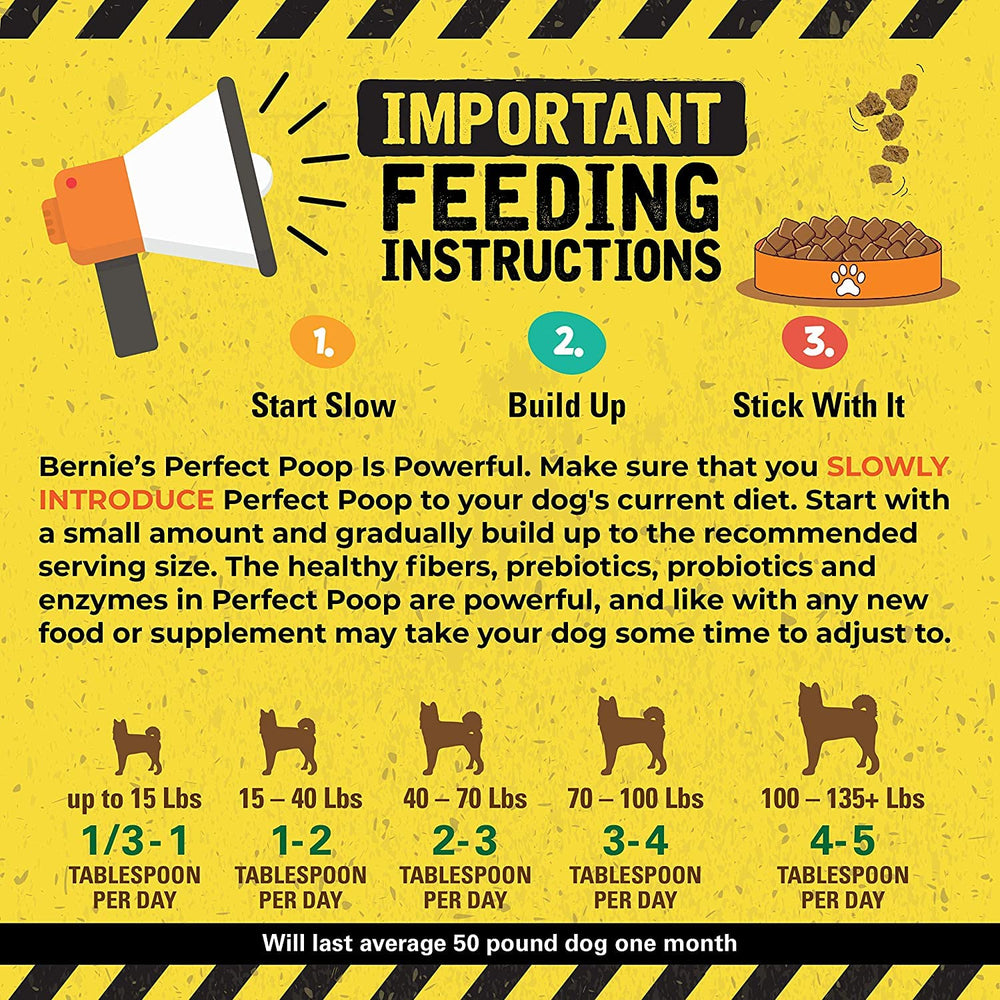 Bernie's dog eating from bowl with owner shows happier mealtime and digestive comfort benefit