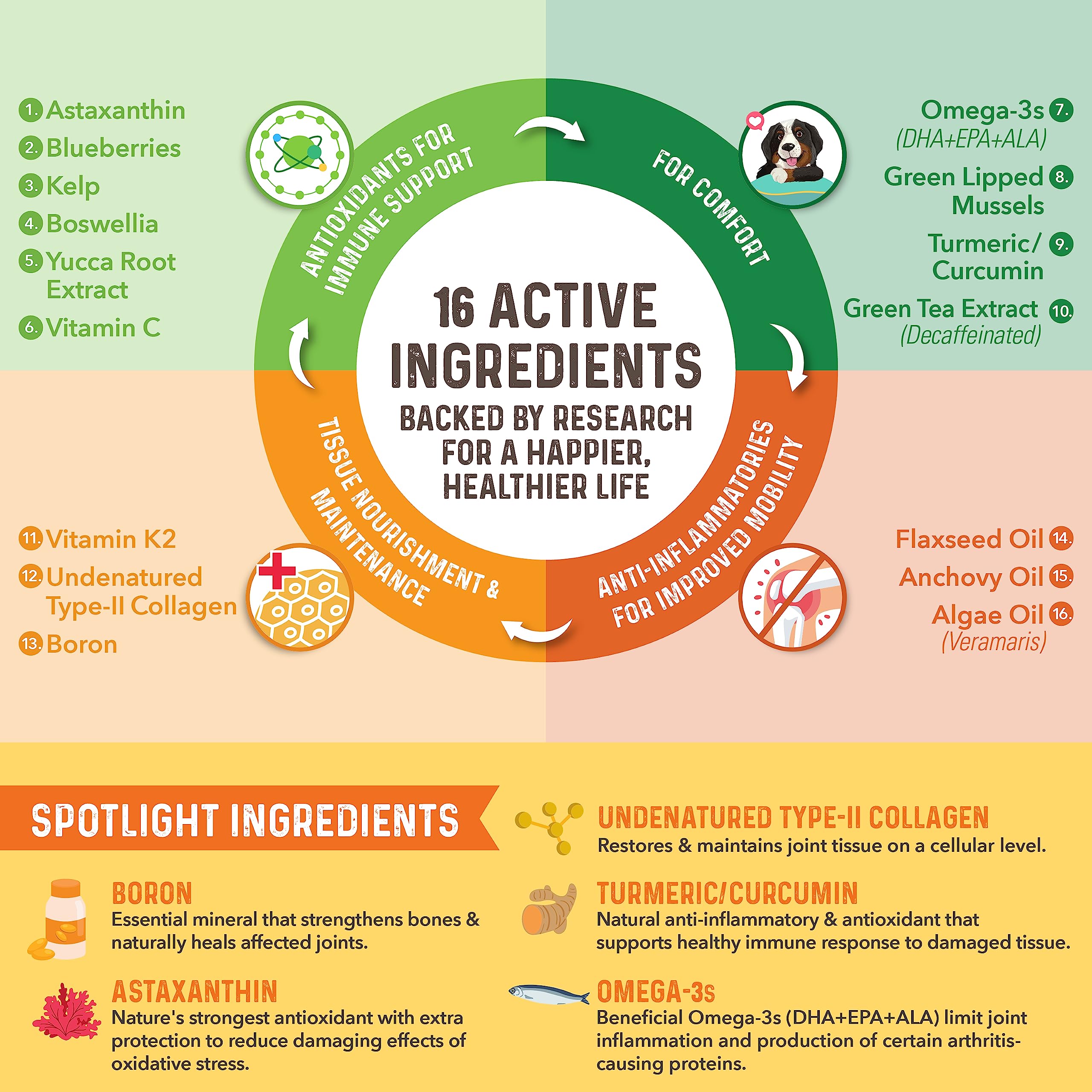 Bernie's etiqueta con lista de ingredientes y beneficios