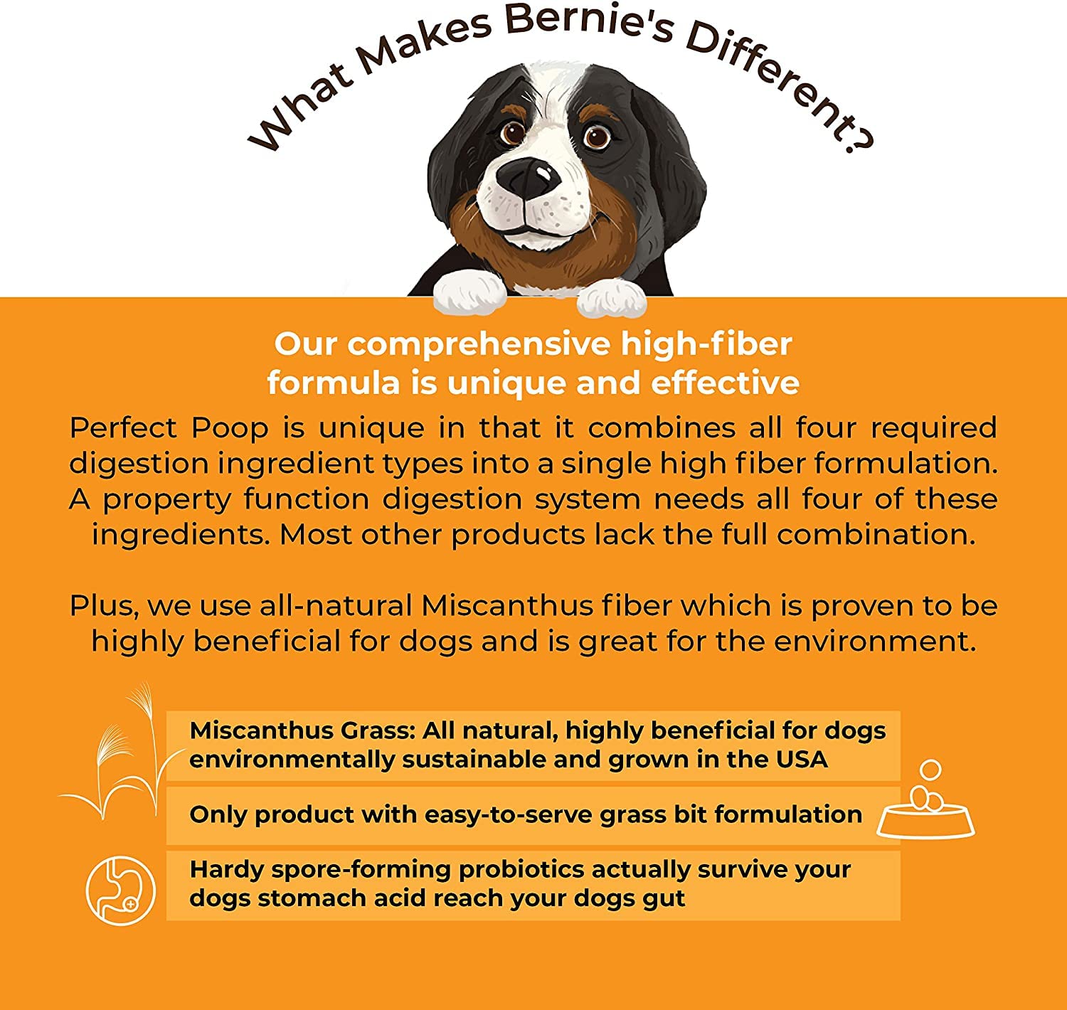 Bernie's ingredients display Miscanthus, pumpkin, flax to show natural fiber and nutrient support